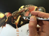 Marcus Eisenhuth: Airbrush - Extreme Macro</b><p>Held in July 2016</p>