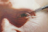 Scratchable Airbrush Paper: 13