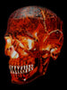 Classroom in a Box: Lava Skull