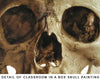Classroom in a Box: Skull kit - (Extra paint colors!)
