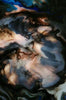 Dru Blair: Airbrush - Textures and Surfaces II</b><p>Held in September 2015</p>