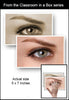 Classroom in a Box: Reference - Eye
