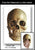 Classroom in a Box: Reference - Skull